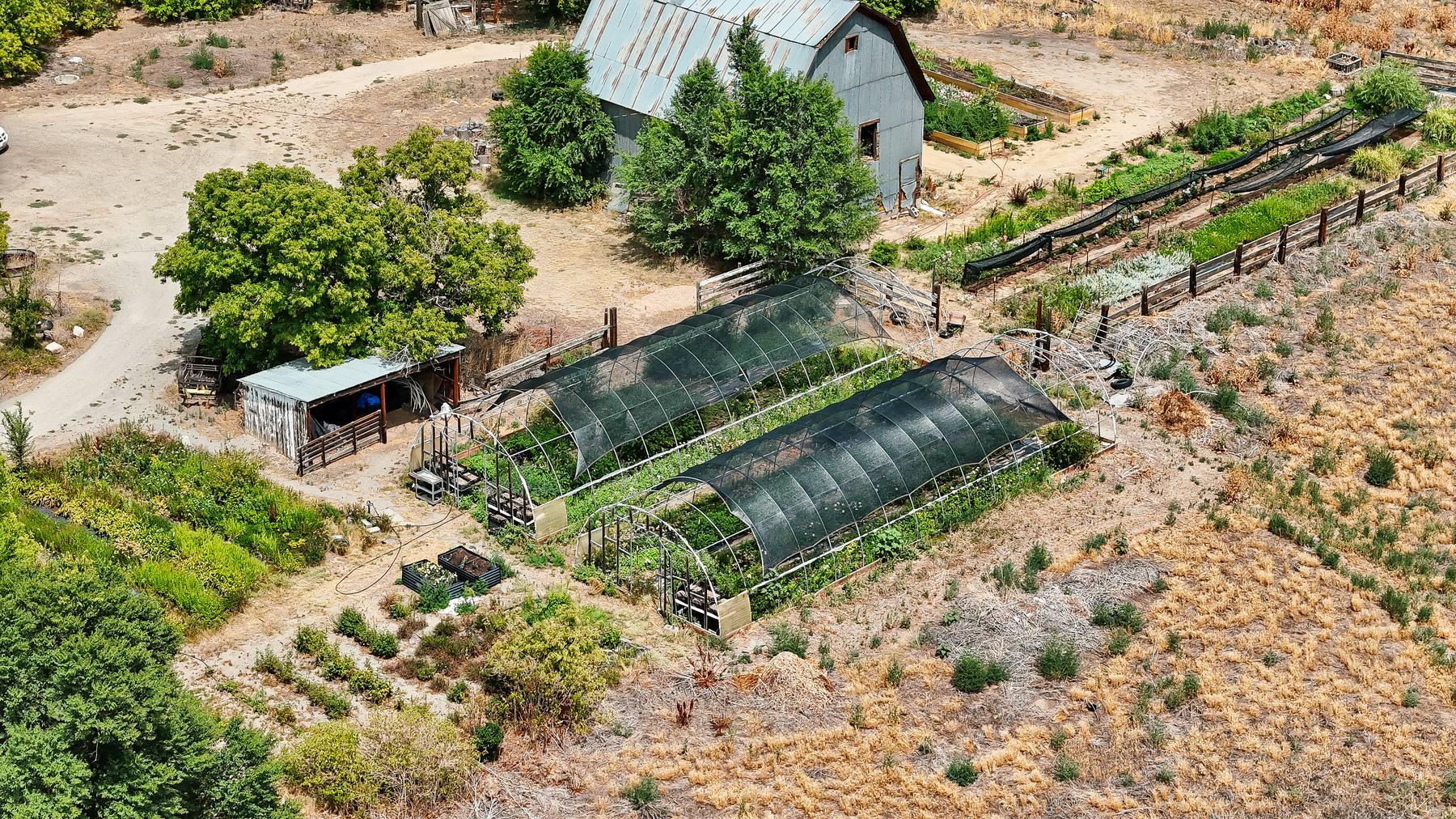 The flower rows and the old barn from above, fields running toward the horizon