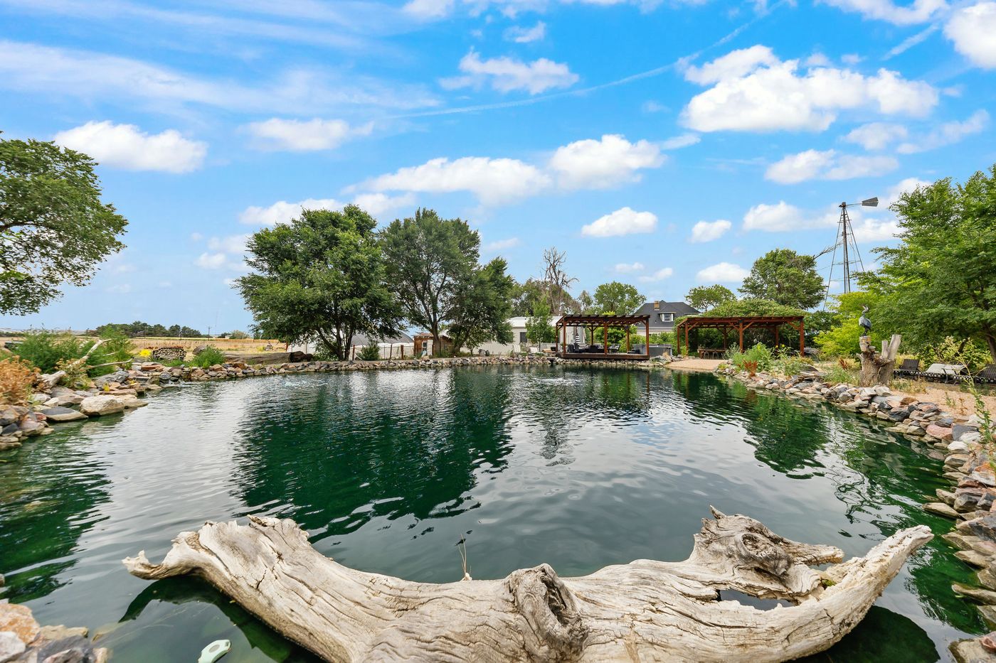The pond ringed in stone, driftwood at the water's edge, the pergola on the far bank